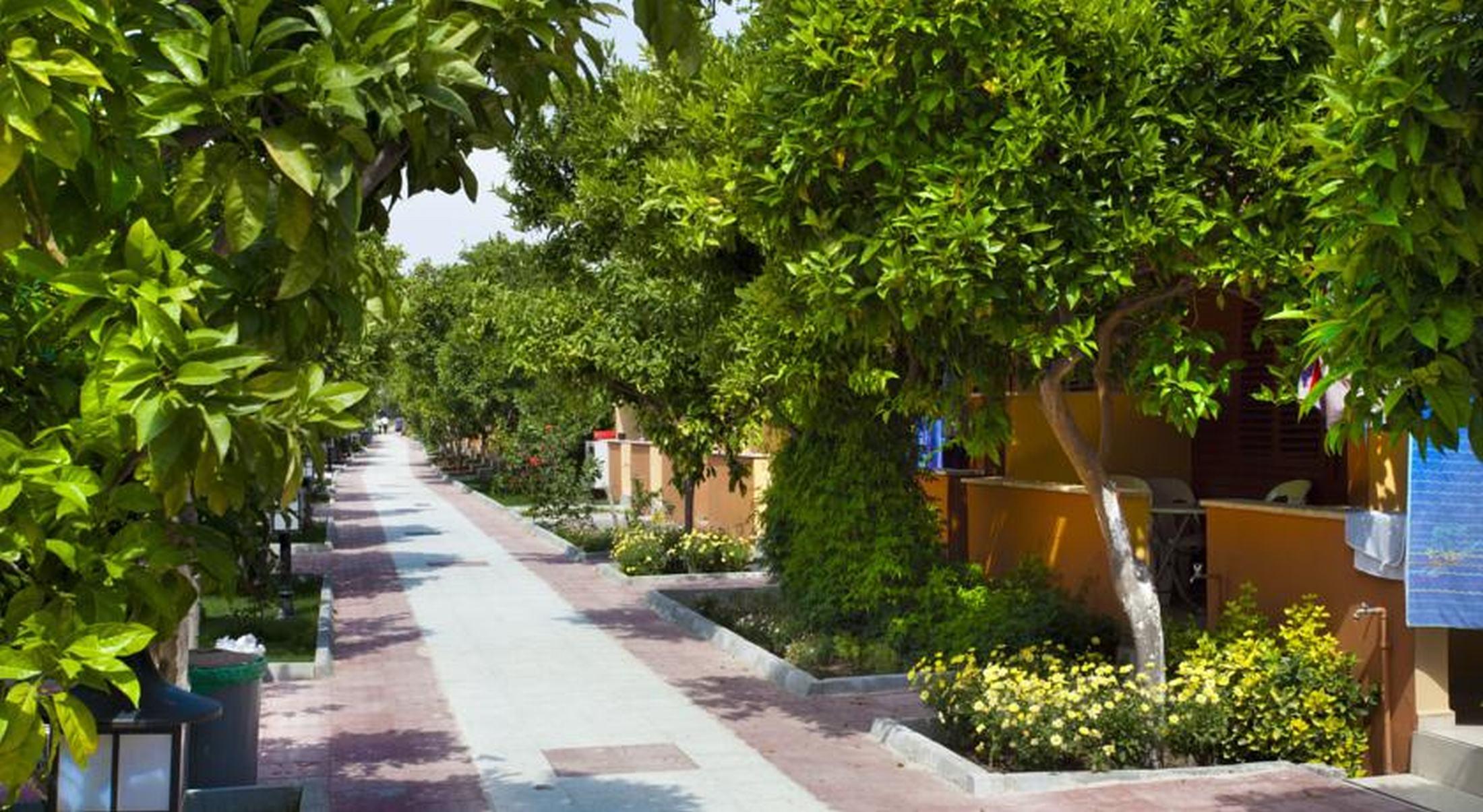 Hotel Ozlem Garden Side