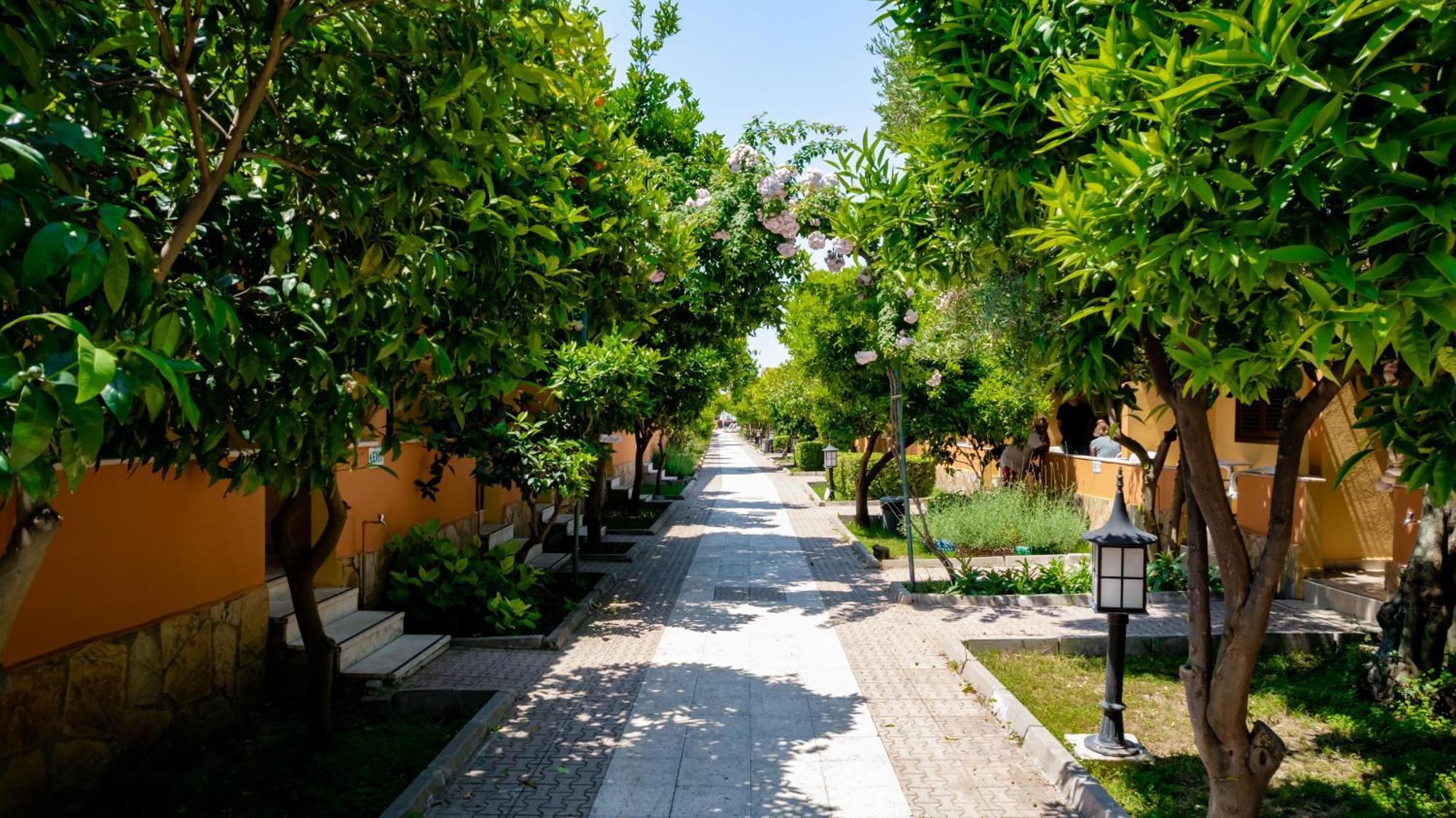 Ozlem Garden 3*