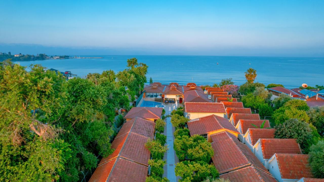 Ozlem Garden מלון