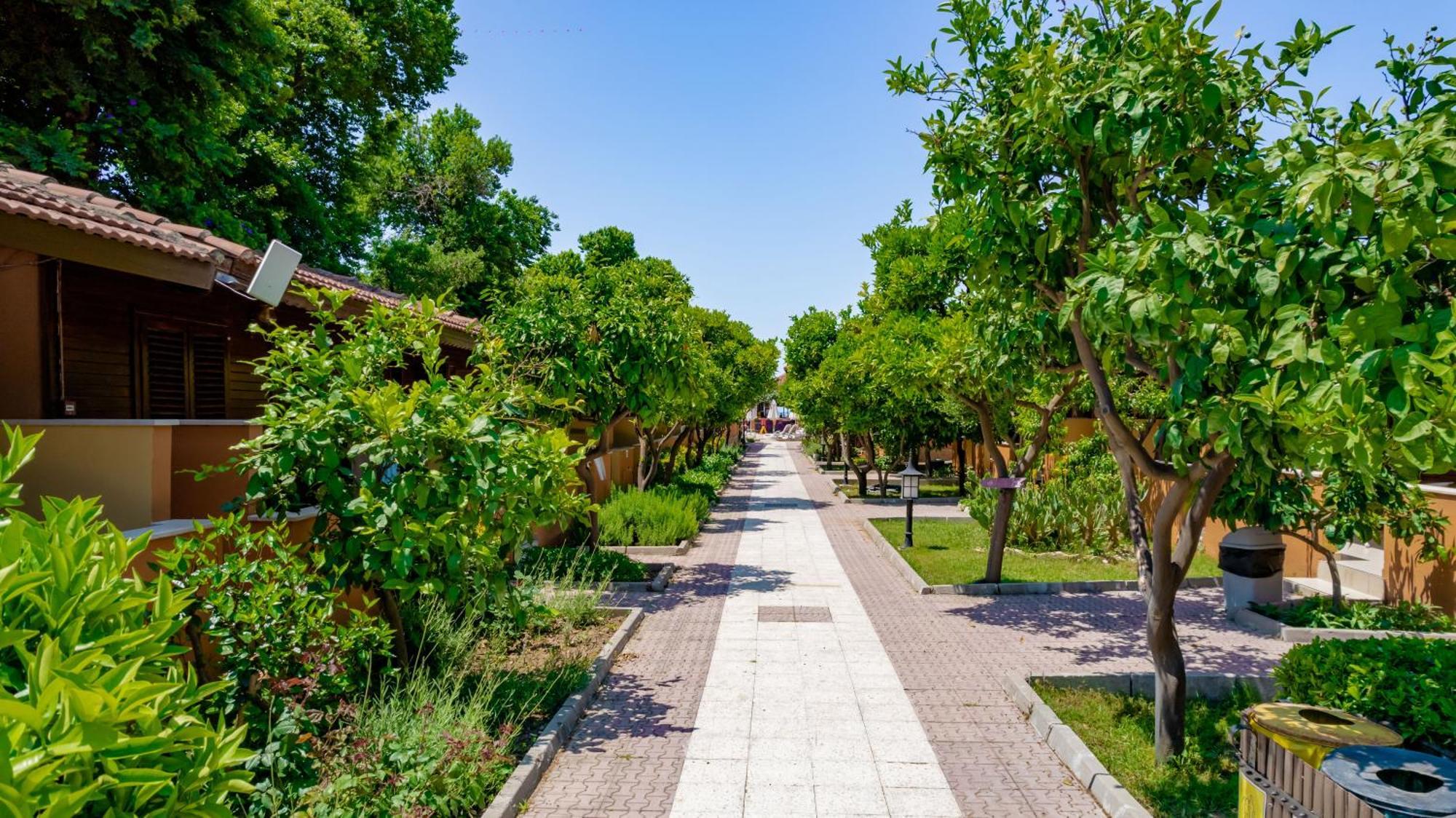 Ozlem Garden 3* Side