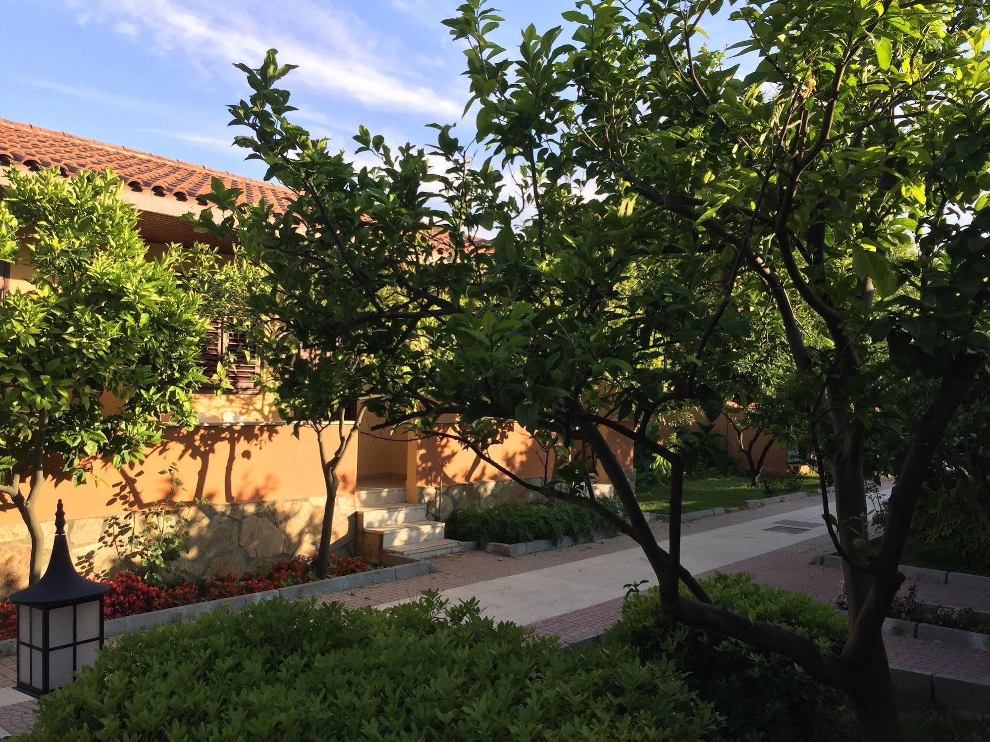 Ozlem Garden 3*
