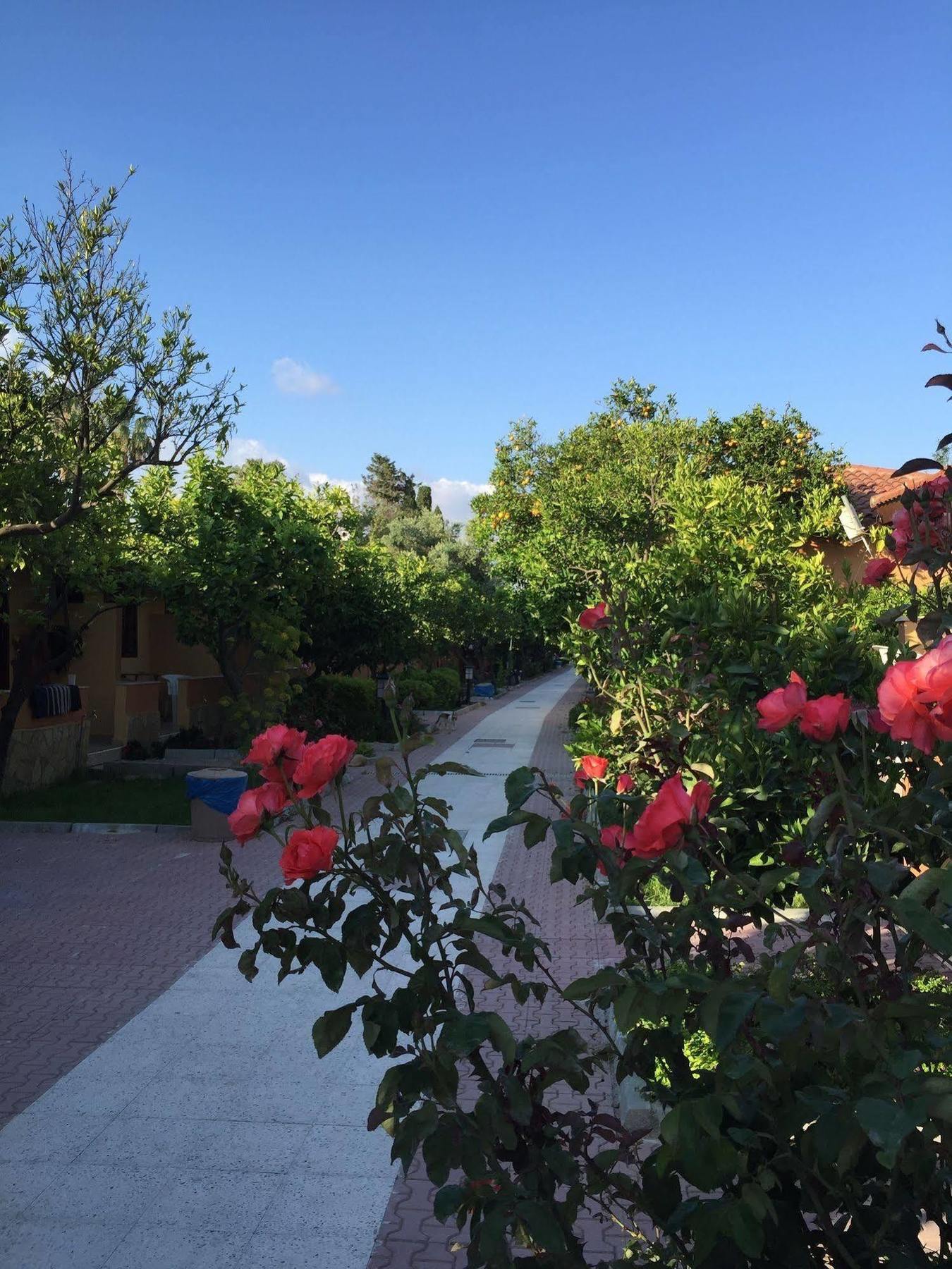 Ozlem Garden סייד